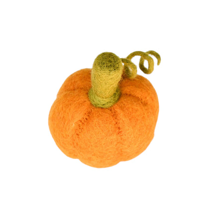 Citrouille en feutre – Plusieurs options d'ensemble